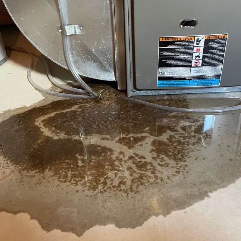 Pipe Burst and Leak Restoration in Lyon County, IA