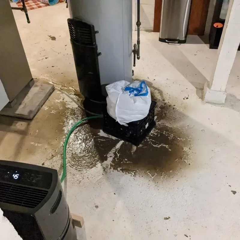 Sewage Backup Cleanup Service in Lyon County, IA